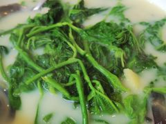 上汤桑叶-喜上喜鸡煲翅(吉大店)