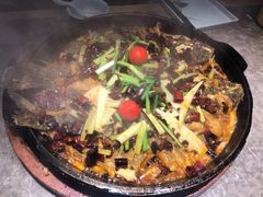 老板恋上鱼-老板恋上鱼(恒隆广场店)