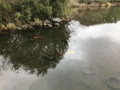 -白马涧龙池景区