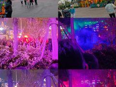 -上海海昌海洋公园