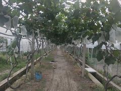 -美家乐农庄·露营·团建(大治路店)