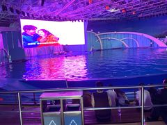 -海合安青岛极地海洋公园