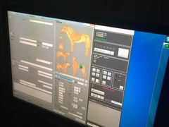 -爱侣宠医·鹦鹉专科·小型哺乳类·异宠专科(灵石路店)