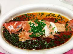 东星斑-石浦大酒店(百丈店)