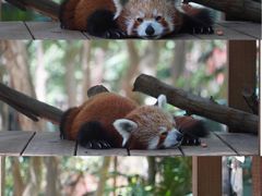 -可伦宾野生动物保护区