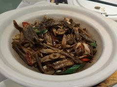 -眉州东坡·熊猫主题餐厅(枫蓝店)