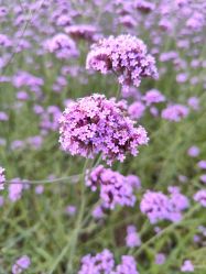 -酷嗒动物文化乐园(cutezoo西溪乐天城店)