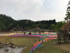 -千岛湖龙川湾