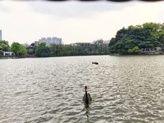 -东山湖公园