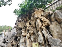 -环城公园