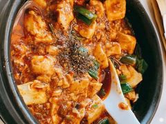 -陈麻婆豆腐总店