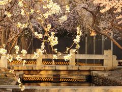 -三里河公园