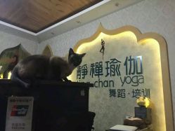 -JC·YOGA静禅瑜伽普拉提