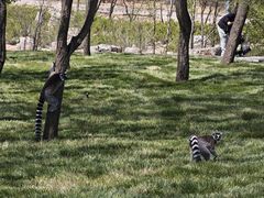 -鄂尔多斯野生动物园