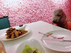 香草柠檬烤鸡-百好乐宠物友好餐厅(朝外大街店)