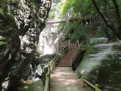 -牛背梁国家森林公园