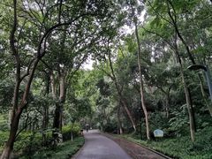 -赭山公园