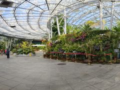 -北京植物园-展览温室