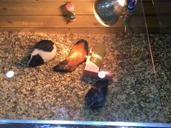 -同至人购物中心(朝阳街店)