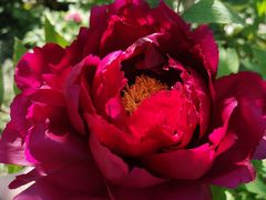 -狼山风景名胜区