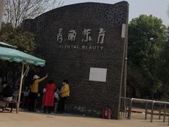 -秀丽东方
