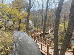 -大岭沟猕猴桃谷风景区
