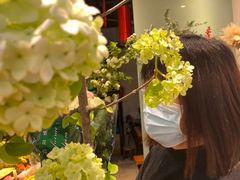 -双季花艺园艺市场(浦东店)
