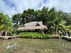 -中国科学院西双版纳热带植物园