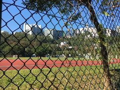 -大埔公路-马料水段香港中文大学(公交站)