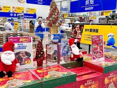 -麦德龙(浦东店)