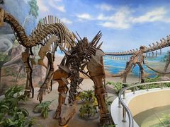 -延庆地质公园博物馆