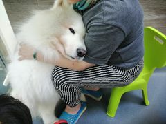 -爱侣宠医·鹦鹉专科·小型哺乳类·异宠专科(灵石路店)