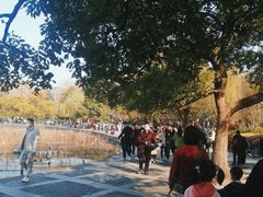 -西湖天地