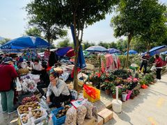 -长兴慧子土特产茶行
