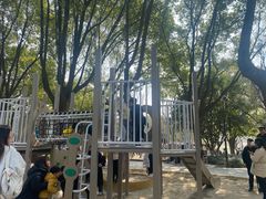 -宁波儿童公园(鄞州区)