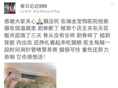 盛京一禾-盛京一禾