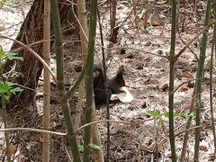 -帽儿山国家森林公园