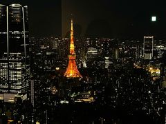 -六本木新城展望台(东京城市景观)