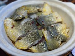砂锅焗黄花鱼-1937青岛老味道·海肠捞饭·青岛菜(大鲍岛栈桥店)