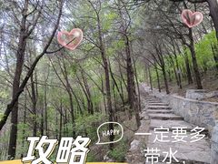 -佛慧山