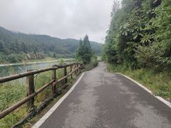 -武陵山森林公园