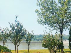 -蓬莱阁景区