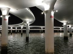 -演武大桥观景平台