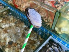 -叶姐海鲜(棋子湾店)