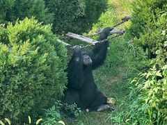 -大连森林动物园