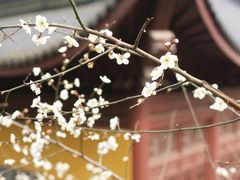 -杭州上天竺法喜讲寺