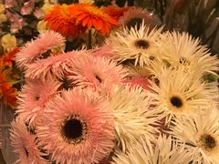 -花邻FloweringLife花艺气球派对(武康大楼店)