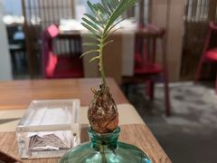 -梅花境(万科店)