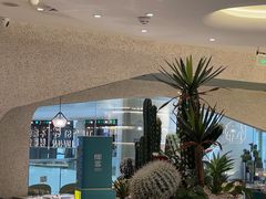 -椰客·海南椰子鸡(天河万菱汇店)