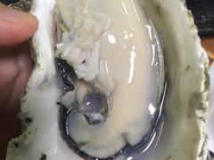 -大富蚝乌东哥饭店·石锅鱼杂·柠檬鸭(革新路店)